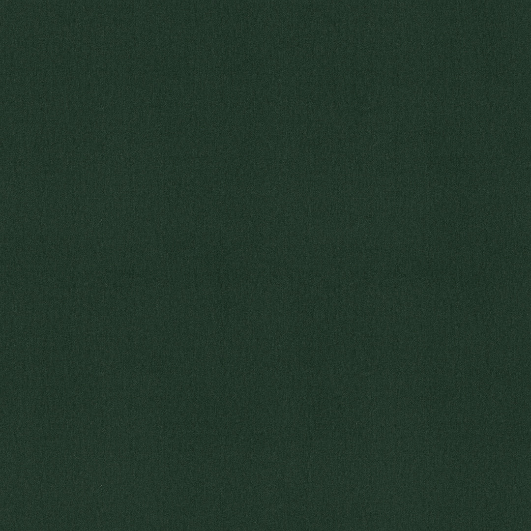 Fabric P29 TURF