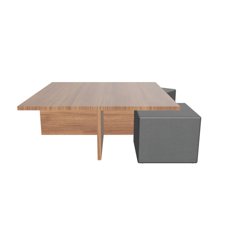 Gravid Coffee Table