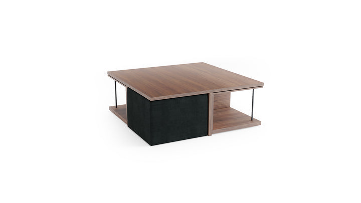 Gravid Coffee Table