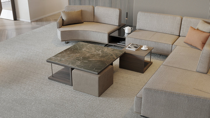 Gravid Coffee Table