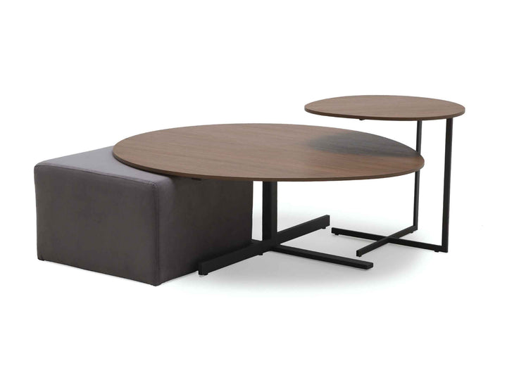 Amada Coffee Table